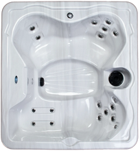 Storm Series FW300 120V Plug and Play